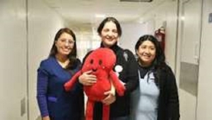 Ablaci&oacute;n multiorg&aacute;nica se concret&oacute; en el Hospital Pablo Soria