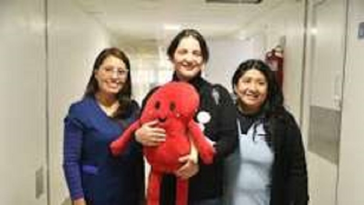 Ablaci&oacute;n multiorg&aacute;nica se concret&oacute; en el Hospital Pablo Soria