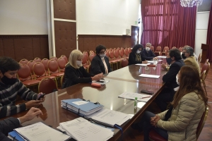 Se reuni&oacute; la Comisi&oacute;n de Asuntos Institucionales