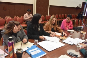 La Comisi&oacute;n de Igualdad de G&eacute;nero avanza en distintas iniciativas