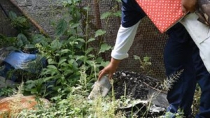 Viviendas libres de mosquitos: la medida m&aacute;s efectiva para prevenir el dengue