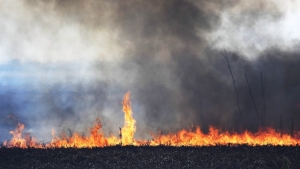 Despliegan m&aacute;s brigadistas y lanchas para combatir los incendios forestales en el delta del Paran&aacute;