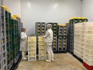 Quesos tandilenses logran ingresar al mercado de los Estados Unidos