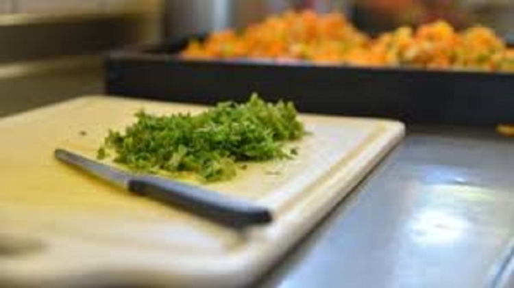 Verano saludable: claves para la correcta conservaci&oacute;n de los alimentos