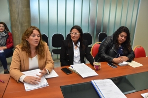 La comisi&oacute;n de Asuntos Sociales avanz&oacute; en el tratamiento del proyecto de ley de Creaci&oacute;n e Implementaci&oacute;n del &Iacute;ndice de Crianza