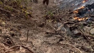Equipos de Ambiente trabajan en la extinci&oacute;n de incendios forestales