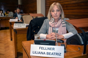 Liliana Fellner celebr&oacute; la decisi&oacute;n del gobierno nacional de garantizar el acceso al aceite de cannabis medicinal
