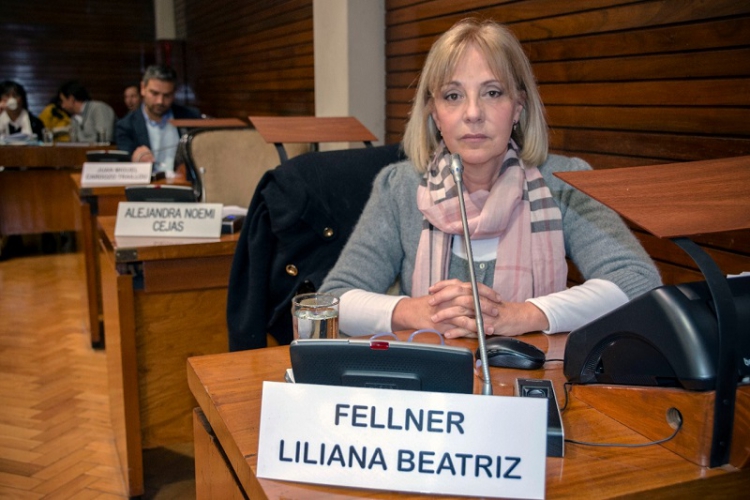 Liliana Fellner celebr&oacute; la decisi&oacute;n del gobierno nacional de garantizar el acceso al aceite de cannabis medicinal