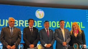 Sadir plante&oacute; elevar al 15% el corte de bioetanol para impulsar al sector productivo del NOA