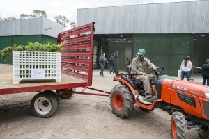Se inaugur&oacute; el Complejo de Biotecnolog&iacute;a para producir cannabis medicinal a escala industrial en Jujuy
