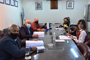 Trabajan en un proyecto de ley de tenencia responsable de animales dom&eacute;sticos