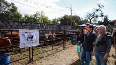 Sadir encabez&oacute; la apertura de la Feria Productiva de San Antonio