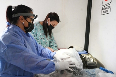 La Direcci&oacute;n de Zoonosis llevar&aacute; el quir&oacute;fano externo a los barrios 13 de Julio y Alto Comedero