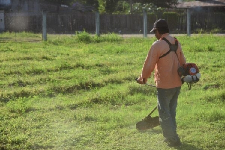 Jujuy registra 98 casos de dengue