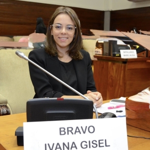 Bravo: &ldquo;El ajuste libertario convirti&oacute; las rutas en un peligro fatal&rdquo;