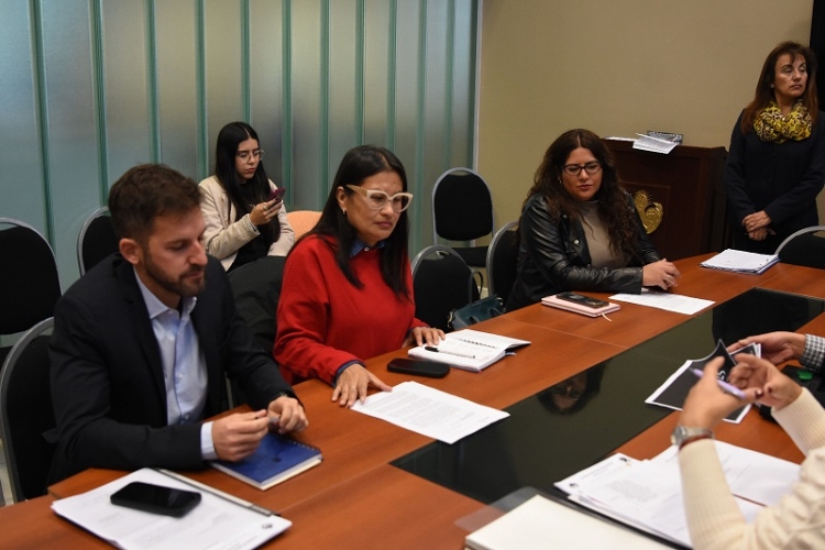 La comisi&oacute;n de Asuntos Sociales ingres&oacute; en la etapa final del tratamiento del proyecto de Ley Provincial de Juventudes