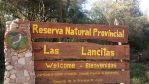 Presencia de humo en el ambiente: &iquest;c&oacute;mo cuidar la salud?
