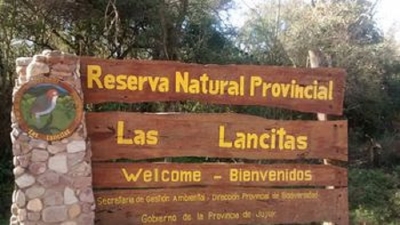 Presencia de humo en el ambiente: &iquest;c&oacute;mo cuidar la salud?