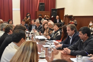 Plenario de Comisiones abord&oacute; el proyecto de ley "universidad provincial para el trabajo"