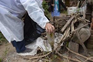 En &eacute;poca de lluvias es determinante prevenir el dengue