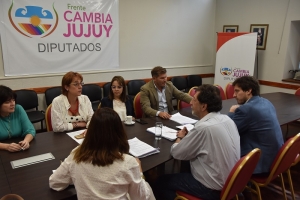 La comisi&oacute;n de asuntos institucionales avanza en el tratamiento del proyecto de ley penal juvenil