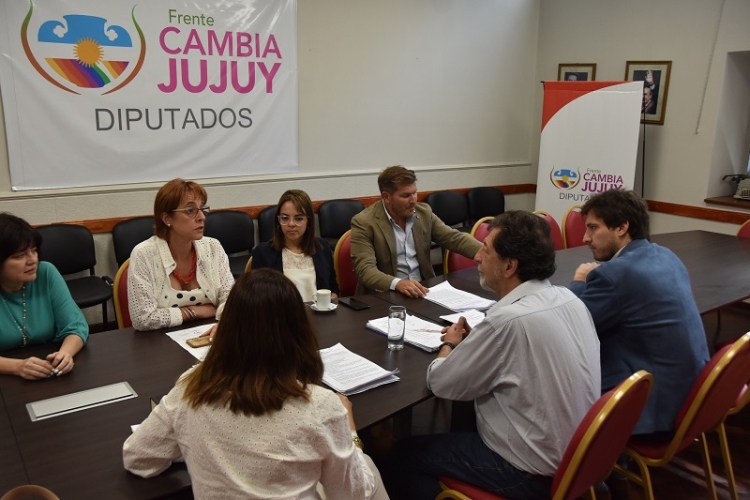 La comisi&oacute;n de asuntos institucionales avanza en el tratamiento del proyecto de ley penal juvenil