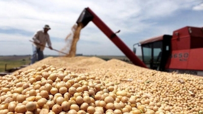 Estiman que la producci&oacute;n de granos crecer&aacute; un 70% en la campa&ntilde;a de este a&ntilde;o