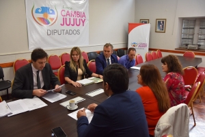 Despacho favorable a la modificaci&oacute;n de la Ley 6301 de Implementaci&oacute;n del Sistema Procesal Acusatorio y al proyecto de Prevenci&oacute;n y Erradicaci&oacute;n de la Violencia Digital
