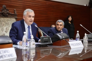 Se aprob&oacute; por unanimidad la reforma parcial de la Constituci&oacute;n Provincial
