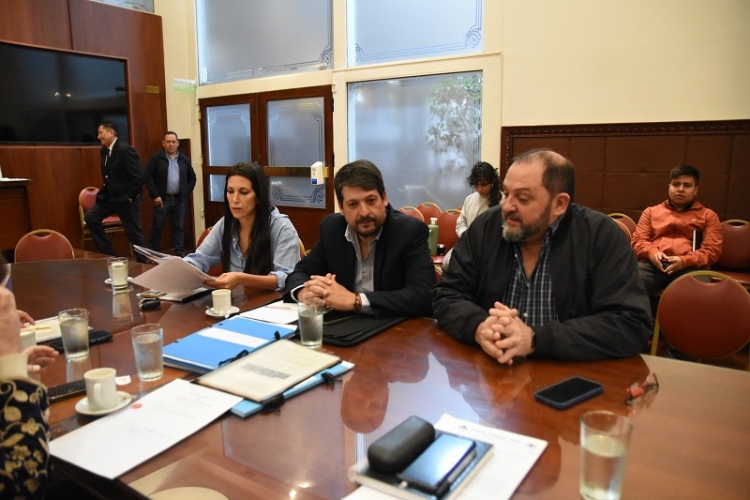 La Comisi&oacute;n de Cultura y Turismo continu&oacute; an&aacute;lisis de bandera hist&oacute;rica y emiti&oacute; despacho sobre Textiler&iacute;a Juje&ntilde;a