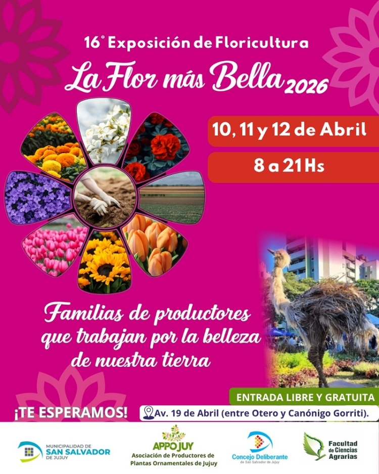 Cuenta regresiva para "la flor m&aacute;s bella"