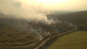 COEI: Incendio en Yuto/Caimancito