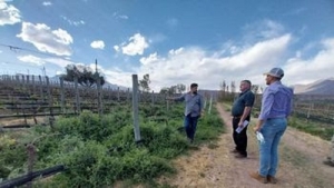 Evaluaron Bodegas y Vi&ntilde;edos para la excelencia en Enoturismo