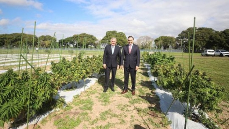 Morales visit&oacute; el Centro Tecnol&oacute;gico de Producci&oacute;n de Cannabis en Corrientes