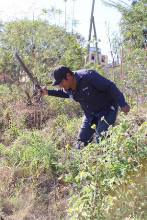 Palpal&aacute; avanza con obras en los barrios y acciones que mejoran la calidad de vida de los vecinos