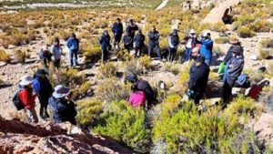 Investigaciones arqueol&oacute;gicas en la localidad de Barrancas