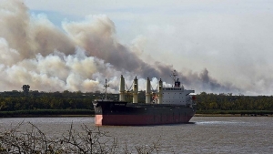 Son 90 mil las hect&aacute;reas afectadas por el fuego en islas del Paran&aacute;