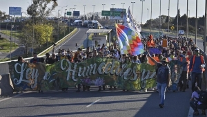 Ambientalistas cortaron el puente Rosario-Victoria por los nuevos incendios en los humedales