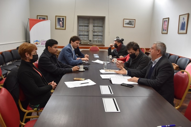 La Comisi&oacute;n de Asuntos Institucionales emiti&oacute; despacho positivo al proyecto de ley de creaci&oacute;n la Compa&ntilde;&iacute;a de Seguros de Jujuy