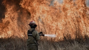 C&oacute;rdoba, Formosa y Jujuy registran focos activos de incendios forestales
