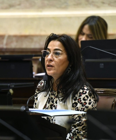 Carolina Mois&eacute;s denunci&oacute; en el Senado el abandono al transporte en Jujuy y exigi&oacute; una soluci&oacute;n inmediata al gobierno nacional