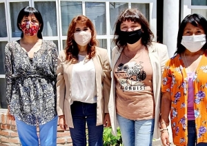 Redes interinstitucionales en funci&oacute;n de la lucha contra la violencia de g&eacute;nero