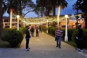 Iluminaci&oacute;n en Plaza Espa&ntilde;a y Jard&iacute;n de las Magnolias