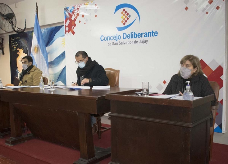 Concejales se reunieron en labor parlamentaria y concejo en comisi&oacute;n