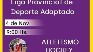Liga Provincial de Deporte Adaptado en Palpal&aacute;