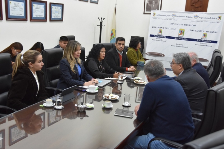La Comisi&oacute;n de Ambiente analiz&oacute; las acciones contra la caza furtiva de vicu&ntilde;as y los microbasurales