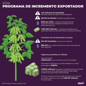 La liquidaci&oacute;n de divisas por el d&oacute;lar soja ya super&oacute; los US$ 1.200 millones