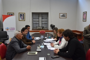 La comisi&oacute;n de legislaci&oacute;n general avanza en el estudio de varios proyectos
