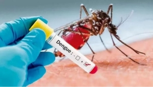 La Anmat podr&iacute;a aprobar una vacuna contra el virus del dengue