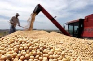 Argentina recupera el liderazgo como exportador de harina de soja, con una suba del 46% tras la sequ&iacute;a de 2023